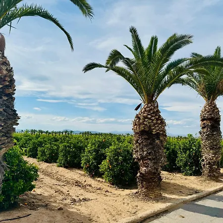 Agua Rosa Appartement *