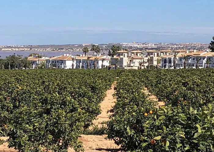 Agua Rosa Apartamento