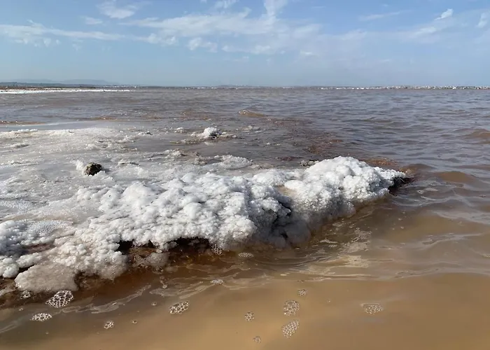 Appartement Agua Rosa