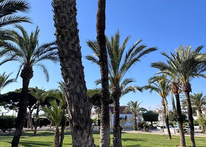 Agua Rosa Appartement *