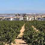 Agua Rosa Lägenhet