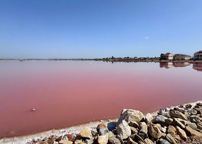 Agua Rosa * Torrevieja